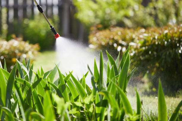 24/7 Emergency Fumigation Services experts in Shawnee, KS