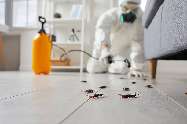 Trusted Rodent Control service in Shawnee, KS - Nex Pest Control